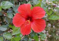 Risale Dersi 1358: İşaratü’l İ’caz 69 (4k) Risale Dersi 1358: İşaratü’l İ’caz 69 (4k)