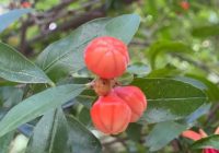 Risale Dersi 1353: İşaratü’l İ’caz 64 (4k) Risale Dersi 1353: İşaratü’l İ’caz 64 (4k)