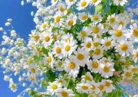 Risale Dersi 1370: İşaratü’l İ’caz 81 (4k) Risale Dersi 1370: İşaratü’l İ’caz 81 (4k)