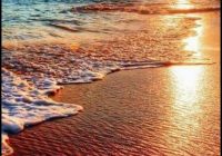 Risale Dersi 1371: İşaratü’l İ’caz 82 (4k) Risale Dersi 1371: İşaratü’l İ’caz 82 (4k)