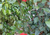 Risale Dersi 1362: İşaratü’l İ’caz 73 (4k) Risale Dersi 1362: İşaratü’l İ’caz 73 (4k)