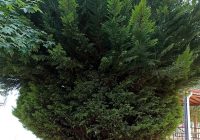 Risale Dersi 1365: İşaratü’l İ’caz 76 (4k) Risale Dersi 1365: İşaratü’l İ’caz 76 (4k)