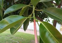 Risale Dersi 1367: İşaratü’l İ’caz 78 (4k) Risale Dersi 1367: İşaratü’l İ’caz 78 (4k)