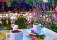 Risale Dersi 1409: İşaratü’l İ’caz 120 (4k) Risale Dersi 1409: İşaratü’l İ’caz 120 (4k)