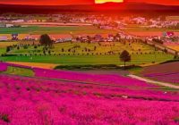 Risale Dersi 1412: İşaratü’l İ’caz 123 (4k) Risale Dersi 1412: İşaratü’l İ’caz 123 (4k)