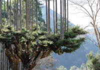 Risale Dersi 1424: İşaratü’l İ’caz 135 (4k) Risale Dersi 1424: İşaratü’l İ’caz 135 (4k)