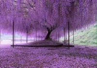 Risale Dersi 1429: İşaratü’l İ’caz 140 (4k) Risale Dersi 1429: İşaratü’l İ’caz 140 (4k)