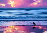 Risale Dersi 1420: İşaratü’l İ’caz 131 (4k) Risale Dersi 1420: İşaratü’l İ’caz 131 (4k)