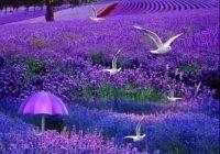 Risale Dersi 1423: İşaratü’l İ’caz 134 (4k) Risale Dersi 1423: İşaratü’l İ’caz 134 (4k)