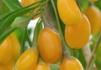 Risale Dersi 1458: İşaratü’l İ’caz 169 (4k) Risale Dersi 1458: İşaratü’l İ’caz 169 (4k)