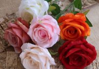 Risale Dersi 1462: İşaratü’l İ’caz 173 (4k) Risale Dersi 1462: İşaratü’l İ’caz 173 (4k)