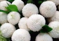 Risale Dersi 1471: İşaratü’l İ’caz 182 (4k) Risale Dersi 1471: İşaratü’l İ’caz 182 (4k)