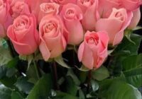 Risale Dersi 1486: İşaratü’l İ’caz 197 (4k) Risale Dersi 1486: İşaratü’l İ’caz 197 (4k)