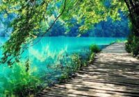 Risale Dersi 1494: İşaratü’l İ’caz 205 (4k) Risale Dersi 1494: İşaratü’l İ’caz 205 (4k)