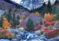 Risale Dersi 1490: İşaratü’l İ’caz 201 (4k) Risale Dersi 1490: İşaratü’l İ’caz 201 (4k)