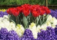 Risale Dersi 1512: İşaratü’l İ’caz 223 (4k) Risale Dersi 1512: İşaratü’l İ’caz 223 (4k)