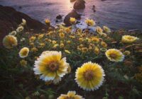 Risale Dersi 1509: İşaratü’l İ’caz 220 (4k) Risale Dersi 1509: İşaratü’l İ’caz 220 (4k)