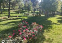 Risale Dersi 1799: 14.Şua 86 Risale Dersi 1799: 14.Şua 86