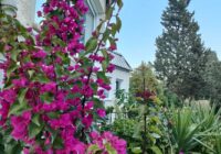 Risale Dersi 1810: 14.Şua 97 Risale Dersi 1810: 14.Şua 97