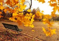 Risale Dersi 1793: 14.Şua 80 Risale Dersi 1793: 14.Şua 80