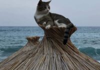 Risale Dersi 1805: 14.Şua 92 Risale Dersi 1805: 14.Şua 92