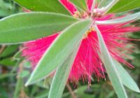 Risale Dersi 1821: 14.Şua 108 Risale Dersi 1821: 14.Şua 108