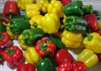 Risale Dersi 1832: 5.Şua 11 Risale Dersi 1832: 5.Şua 11