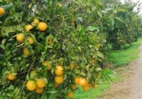 Risale Dersi 1860: 15.Şua 23 Risale Dersi 1860: 15.Şua 23