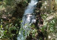 Risale Dersi 1855: 15.Şua 18 Risale Dersi 1855: 15.Şua 18