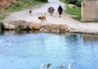 Risale Dersi 1868: 15.Şua 32 Risale Dersi 1868: 15.Şua 32