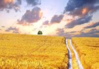 Risale Dersi 1872: 15.Şua 36 Risale Dersi 1872: 15.Şua 36