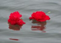 Risale Dersi 1892: 1.Şua 4 Risale Dersi 1892: 1.Şua 4