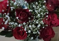 Risale Dersi 1900: 1.Şua 12 Risale Dersi 1900: 1.Şua 12