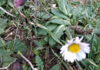 Risale Dersi 1895: 1.Şua 7 Risale Dersi 1895: 1.Şua 7