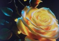 Risale Dersi 1909: 1.Şua 21 Risale Dersi 1909: 1.Şua 21