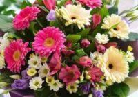 Risale Dersi 1905: 1.Şua 17 Risale Dersi 1905: 1.Şua 17