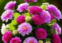 Risale Dersi 1910: 1.Şua 22 Risale Dersi 1910: 1.Şua 22