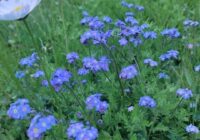 Risale Dersi 1904: 1.Şua 16 Risale Dersi 1904: 1.Şua 16