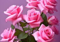 Risale Dersi 1915: 1.Şua 27 Risale Dersi 1915: 1.Şua 27