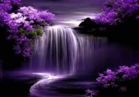 Risale Dersi 1911: 1.Şua 23 Risale Dersi 1911: 1.Şua 23