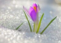 Risale Dersi 1918: 1.Şua 30 Risale Dersi 1918: 1.Şua 30