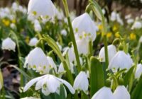 Risale Dersi 1924: 8.Şua 5 Risale Dersi 1924: 8.Şua 5