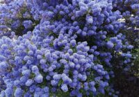 Risale Dersi 1914: 1.Şua 26 Risale Dersi 1914: 1.Şua 26