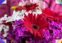 Risale Dersi 1973: Muhakemat 30 Risale Dersi 1973: Muhakemat 30