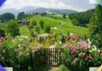 Risale Dersi 1961: Muhakemat 18 Risale Dersi 1961: Muhakemat 18