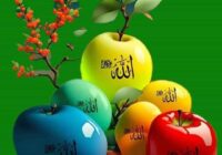 Risale Dersi 1965: Muhakemat 22 Risale Dersi 1965: Muhakemat 22