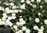 Risale Dersi 1957: Muhakemat 14 Risale Dersi 1957: Muhakemat 14