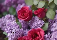 Risale Dersi 1987: Muhakemat 44 Risale Dersi 1987: Muhakemat 44