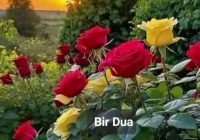 Risale Dersi 1985: Muhakemat 42 Risale Dersi 1985: Muhakemat 42