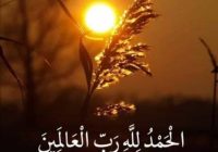 Risale Dersi 1980: Muhakemat 37 Risale Dersi 1980: Muhakemat 37